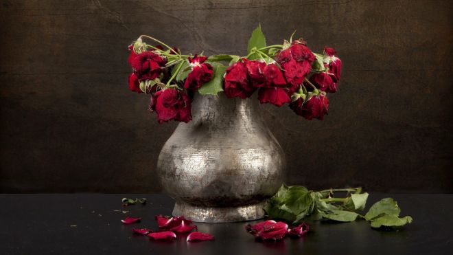 Stuff Valentine’s Day Flowers (and What to Give Instead)
