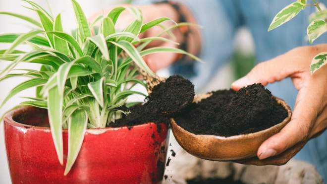 15 Clever Ways You Should Be Using Coffee Grounds Around the House