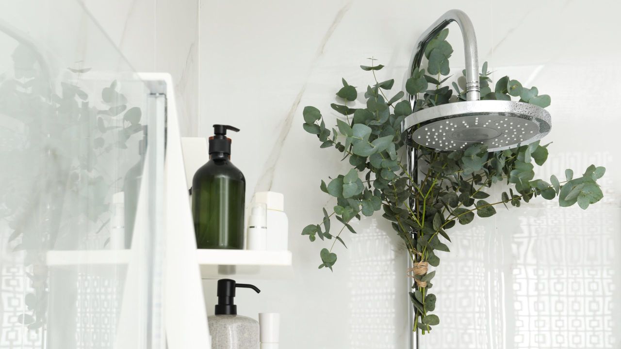 How to Transform Your Shower Into a Spa-Like Oasis (on the Cheap)