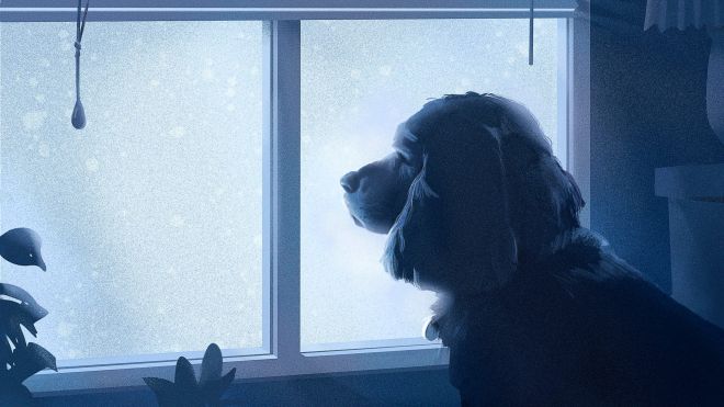 Dogs Mourn the Loss of a Canine Companion, New Evidence Suggests