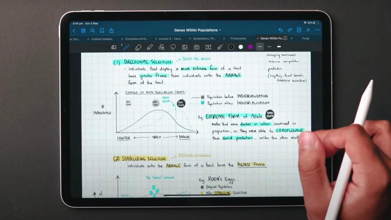 5 iPad Features Designed to Help You Focus and Boost Productivity