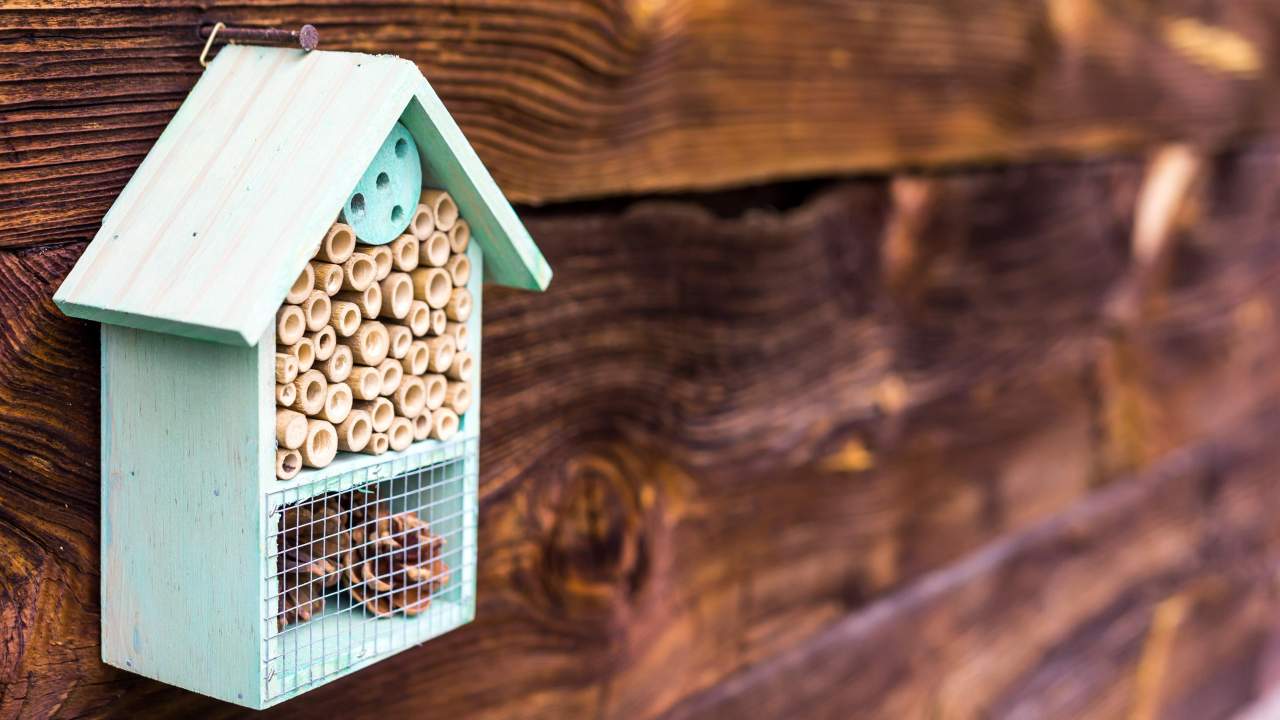 How to Make a Mason Bee House for Your Garden