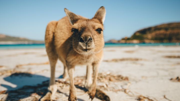 The Best Australian Holiday Destinations for Your Easter Break