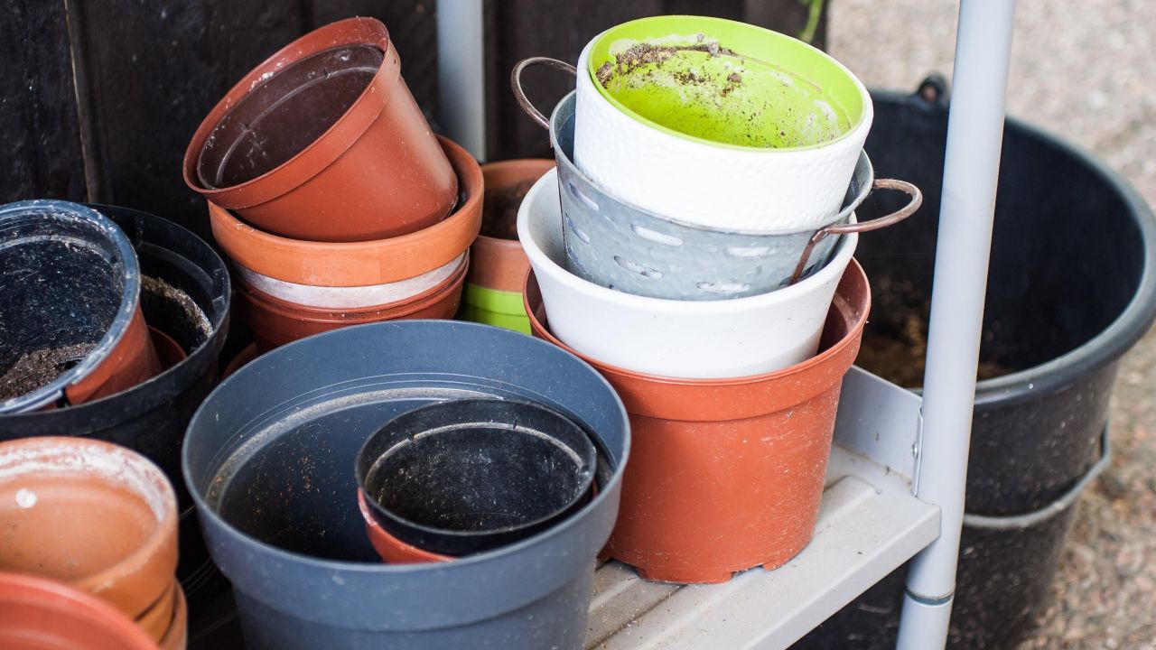 Clean Your Flower Pots Before Reusing Them (Without Hurting Your Plants)