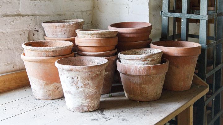How to Clean That White Residue From Your Terracotta Pots