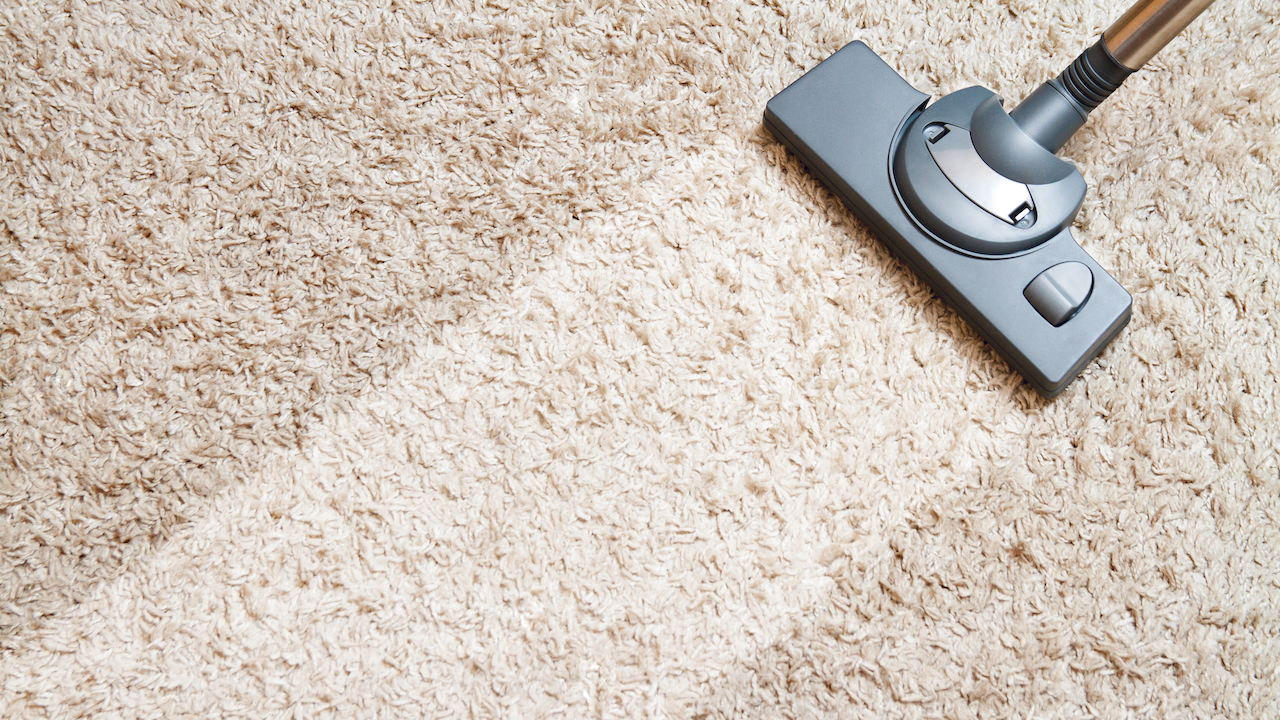 The Best 8 Carpet Cleaners That’ll Pull the Hidden Grot Out of Your Floors