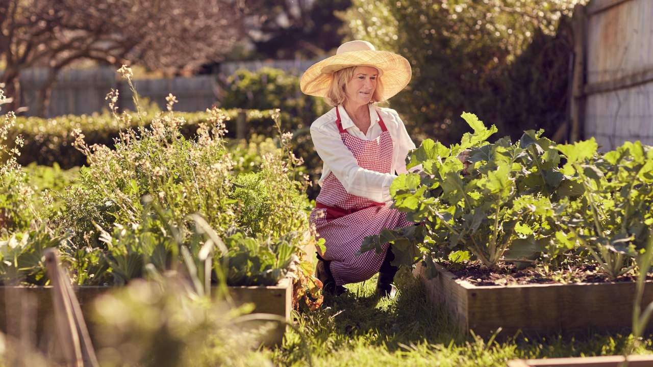 The Best Gardening Tools for Anyone With Back Pain