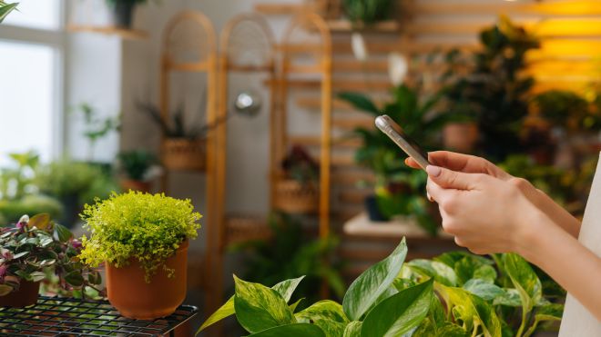 A Beginner’s Guide to Using Apps and Gadgets for Growing Healthier Plants