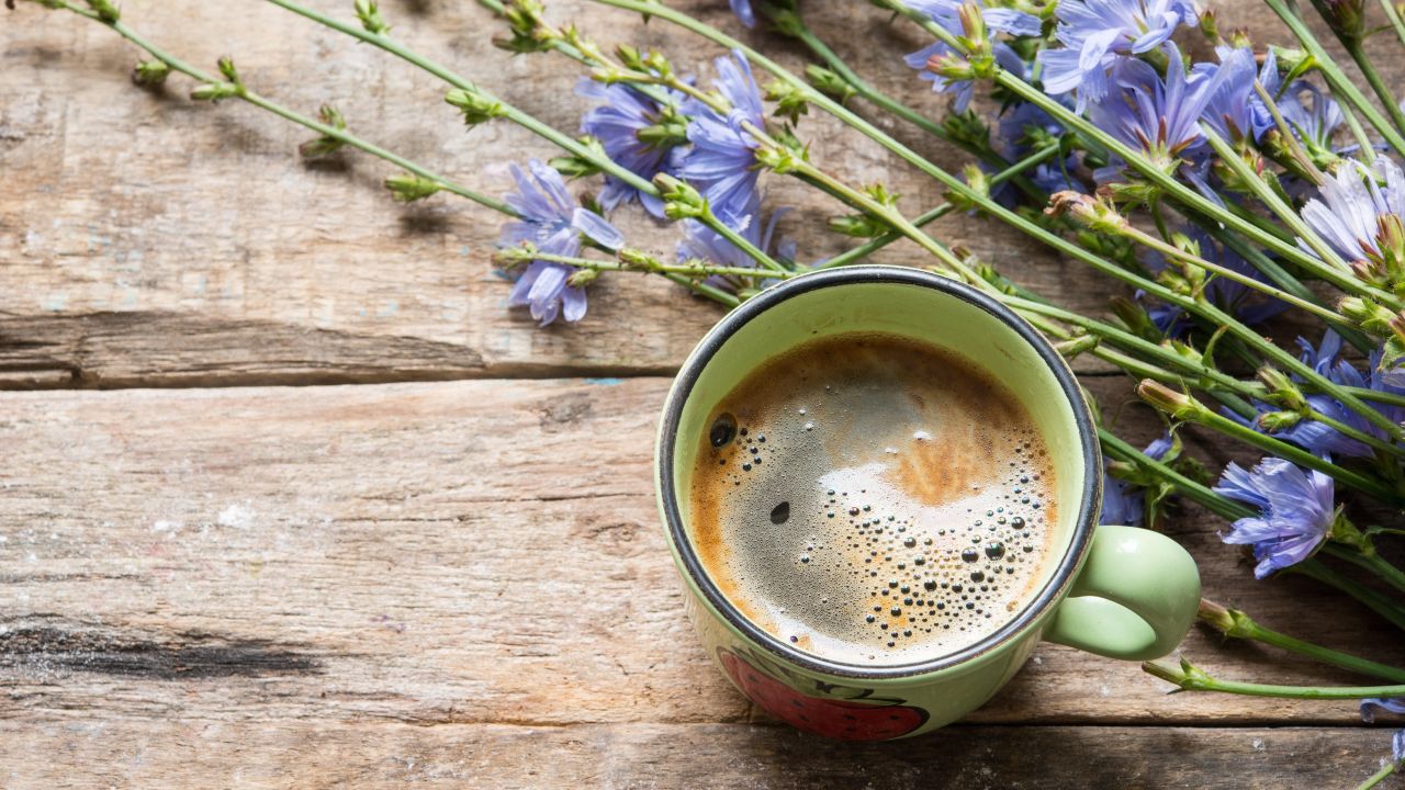 Why You Should Add Chicory to Your Coffee