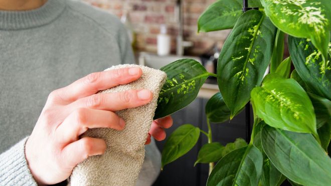 11 Genius Ways to Eliminate Dust in Your Home