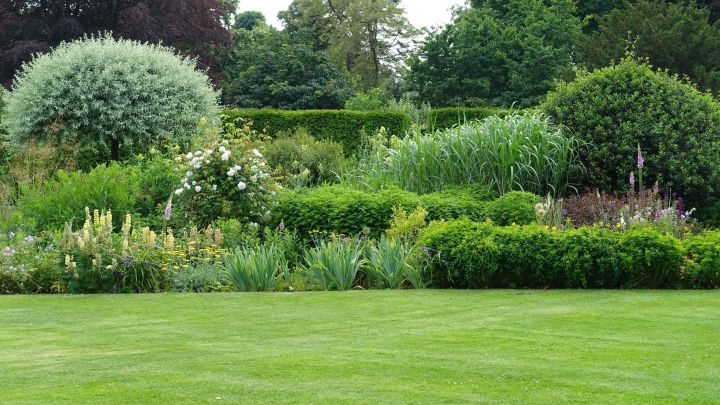 How ‘Benign Neglect’ Can Actually Improve Your Garden