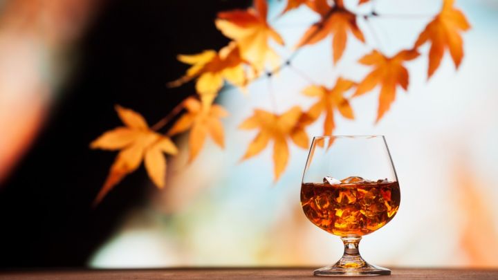 Cozy Up With These Autumn-Inspired Cocktail Recipes