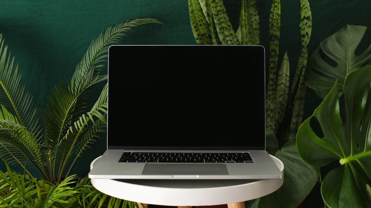 The Best Green Laptops That Will Get the Job Done for You and the Planet - Lifehacker Australia