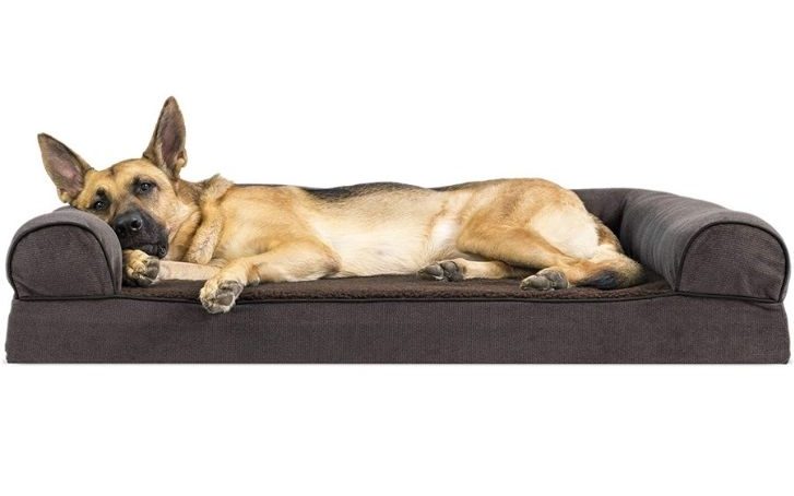 7 Anxiety Dog Beds for That Nervous Pooch of Yours