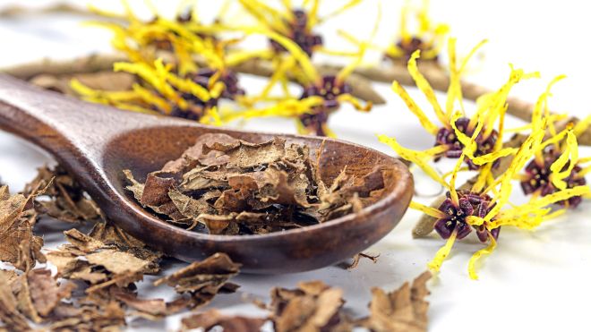 All the Ways You Should Be Using Witch Hazel but Aren’t
