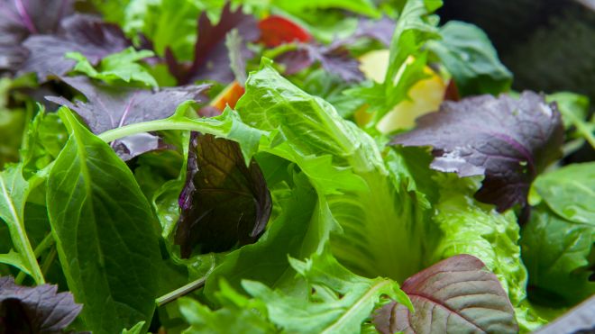How to Breathe New Life Into Sad, Soggy Salad Leaves
