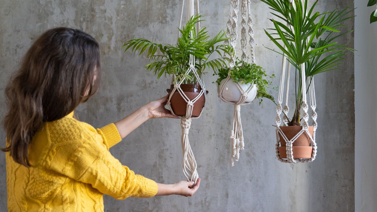 The Best Cheap and Easy DIY Planters