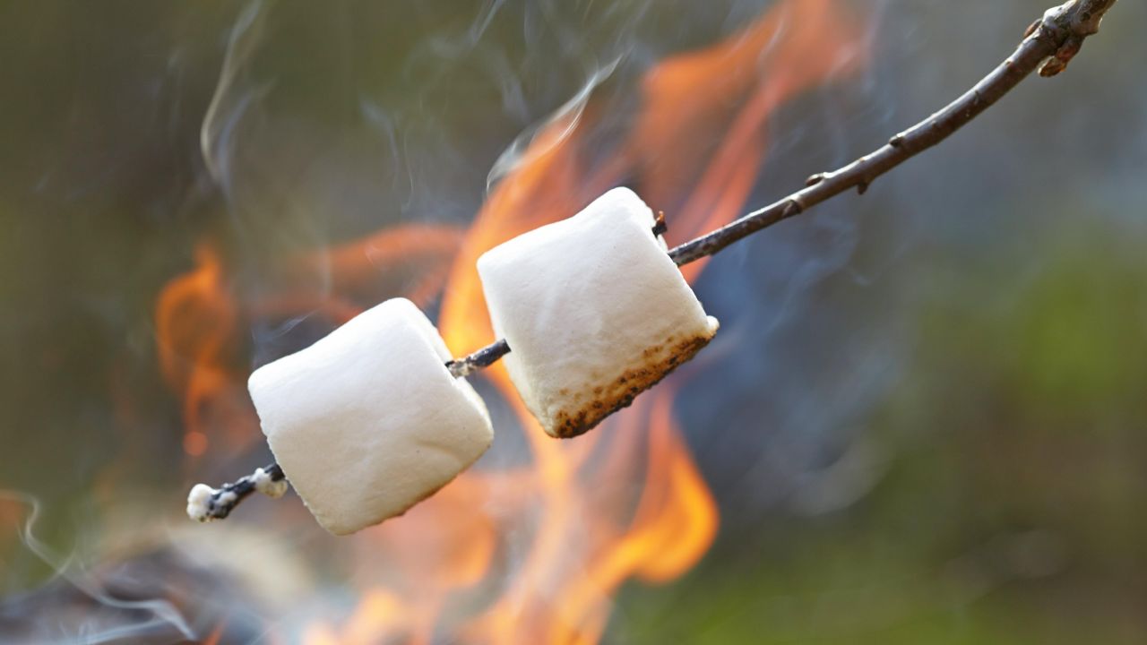 Stuff Marshmallows With Chocolate Chips for Easier S’mores