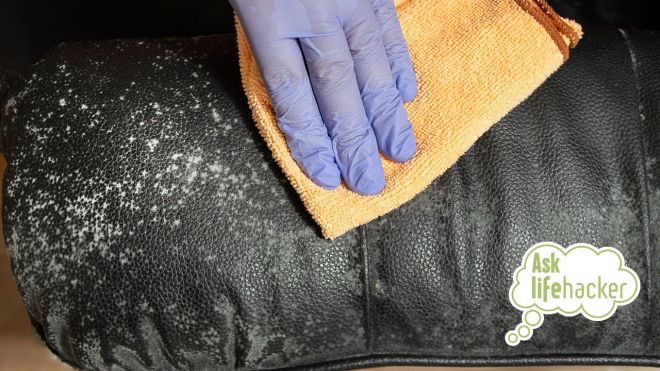 Ask LH: How to Clean Mould off Leather