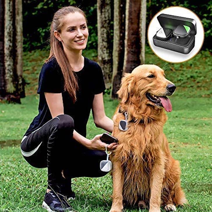 If Your Furry Friend’s Gone AWOL, These Pet GPS Trackers Are on Sale