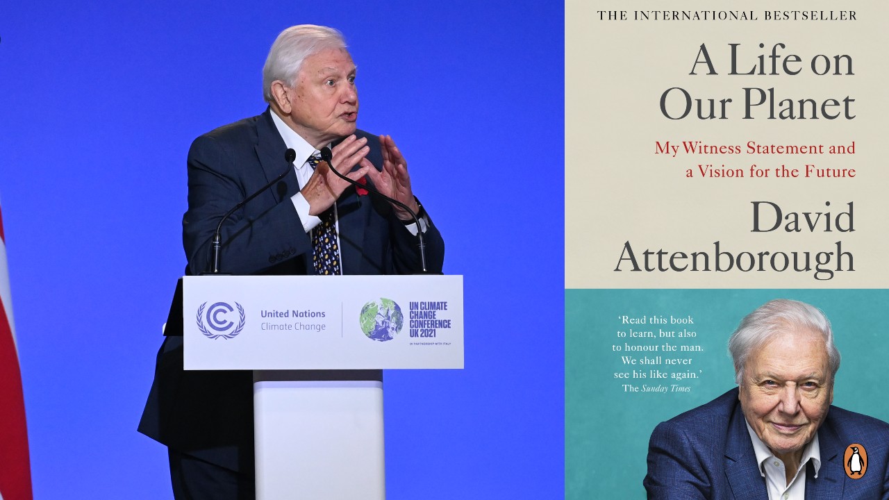 David Attenborough Shows Us the Way to a Sustainable Future With ‘A Life on Our Planet’