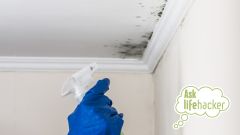 Ask LH: How Do You Remove Mould from the Ceiling?
