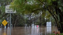 Flood Disaster Payment NSW: Who Is Eligible and How Do You Get It?