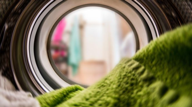 How to Remove Pet Hair From Your Washing Machine and Dryer