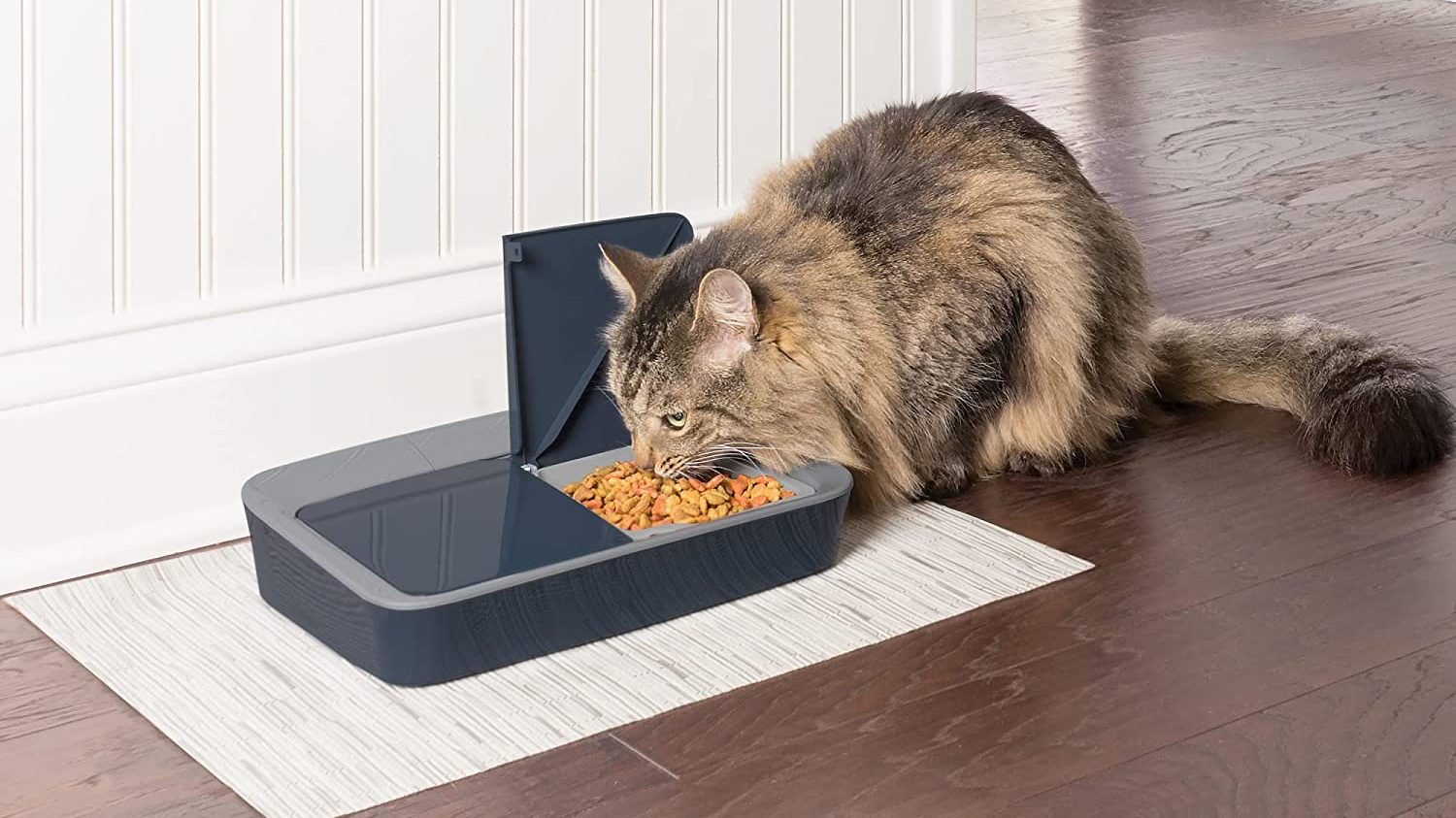 PetSafe cat food dispenser