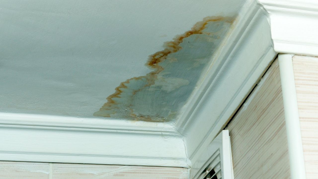 How to Repair Water Damage in Your Home (and When to Panic About It)