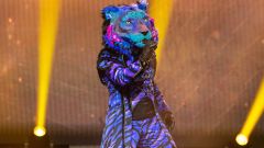 All the Biggest Clues and Celebrity Reveals for the Masked Singer Australia So Far
