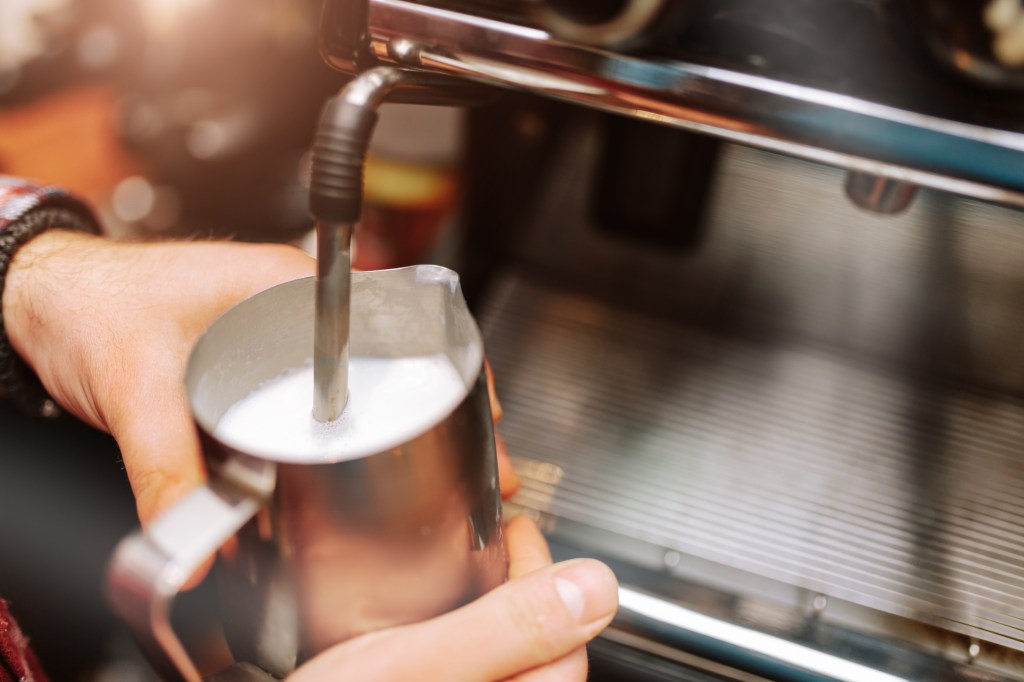 how to froth milk with a steam wand