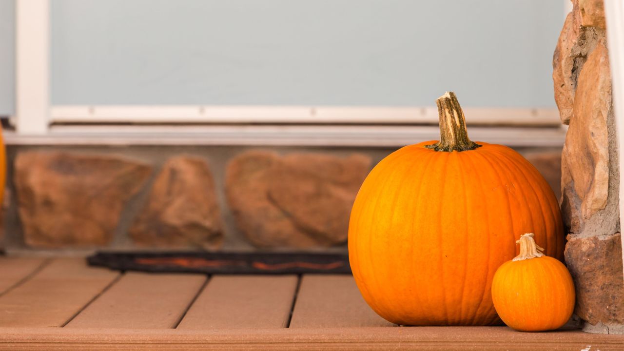 This Is How to Safely Preserve Pumpkins With Bleach