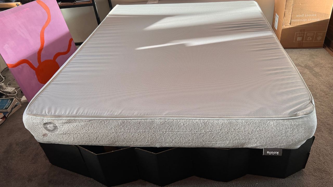 Yona cardboard bed